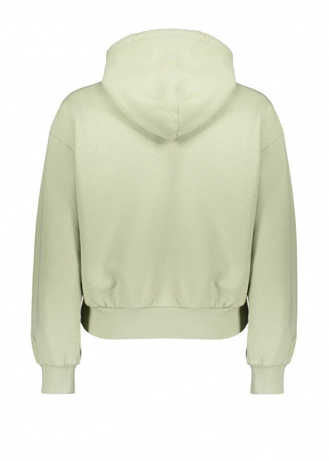 Carhartt hooded casey sweatshirt - Agava
